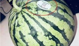 王者网红吃瓜,揭秘电竞圈幕后风云