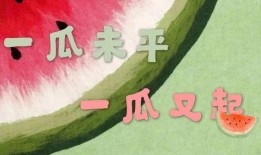 娱乐吃瓜君 刘二豆,娱乐吃瓜界的风云人物